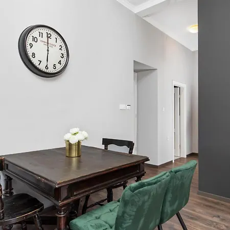 公寓 Carpathia 2 里耶卡