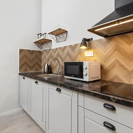 Carpathia 2 公寓 *